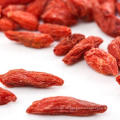 Getrocknete Frucht Getrocknete organische Goji Beere Goji